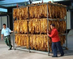 Tobacco leaf dryer