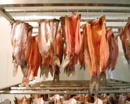 Dried fish dryer